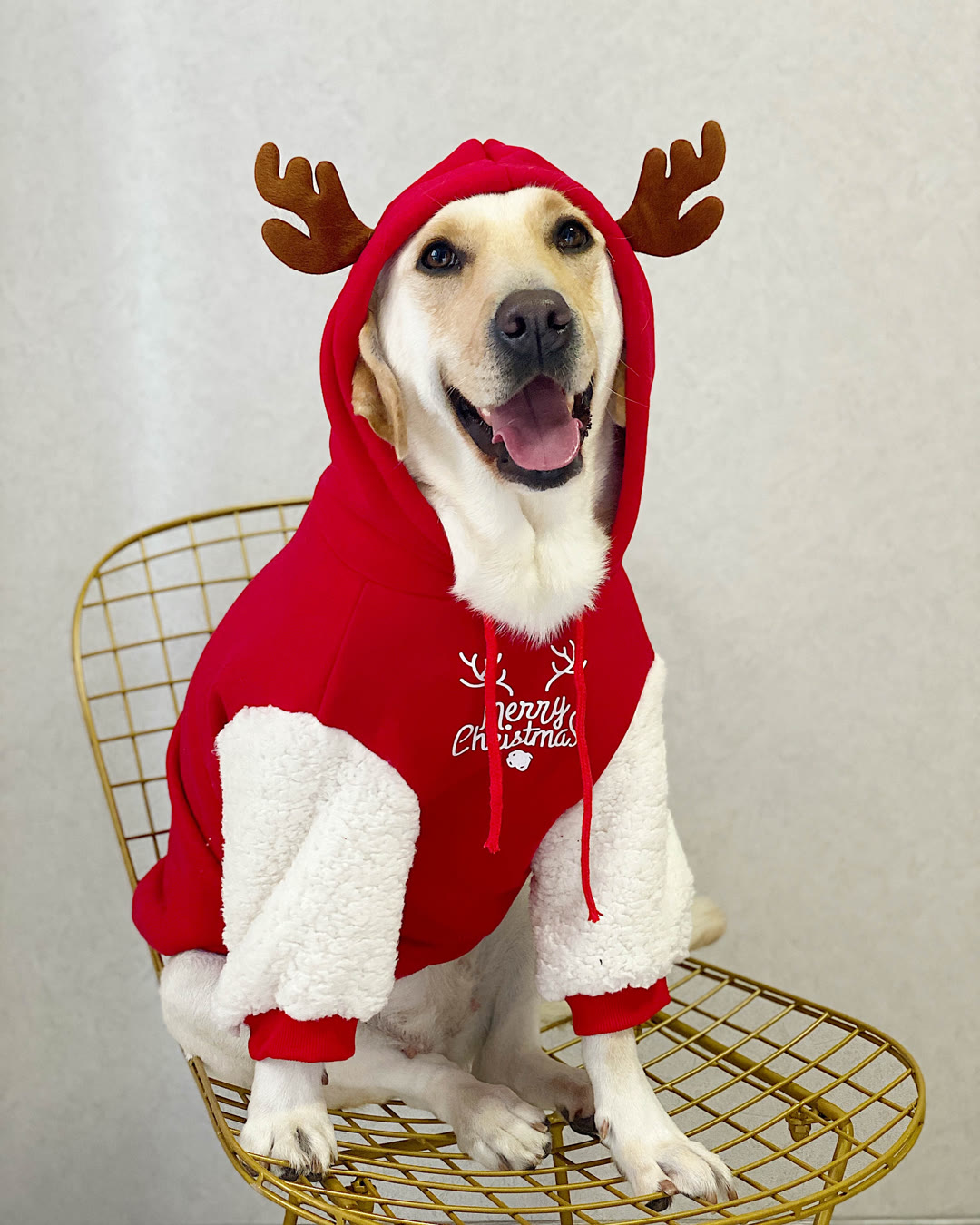 STAYPAW Holiday Reindeer Dog Hoodie, Warm Fleece-Lined Winter Sweatshirt