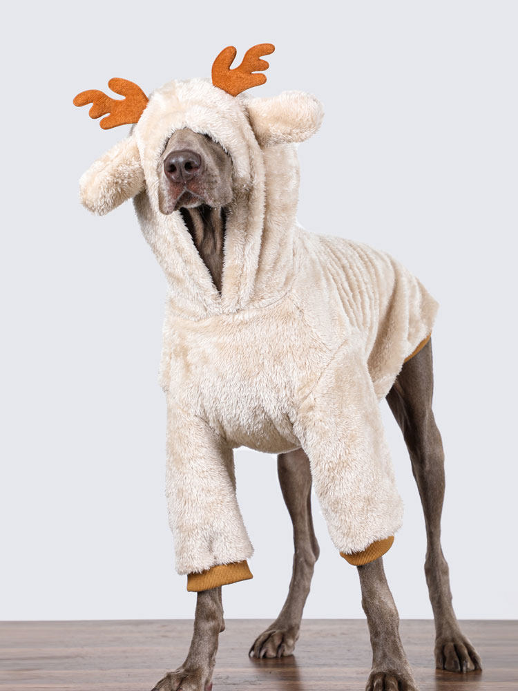 STAYPAW Fleece-Lined Winter Dog Coat for Medium to Extra-Large Dogs
