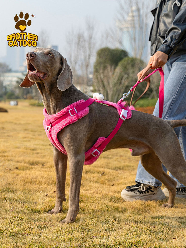 STAYPAW No-Pull Dog Harness and Leash Set Adjustable Padded Outdoor Vest