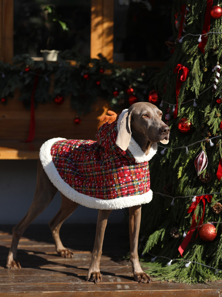 STAYPAW Dog Christmas Cloak, Warm Fleece-Lined Holiday Cape for Large Dogs