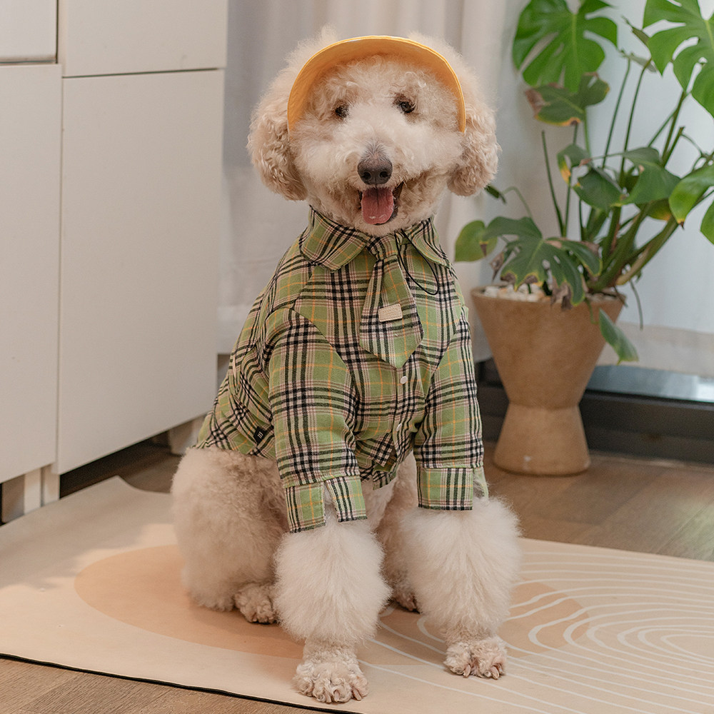 STAYPAW Classic Plaid Dog Shirt and Hat Set for Medium to Extra Large Breeds