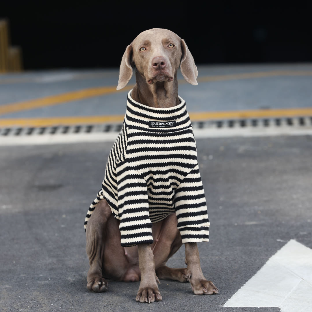 STAYPAW Striped Dog Turtleneck Knit Sweater Warm Winter Base Layer Shirt
