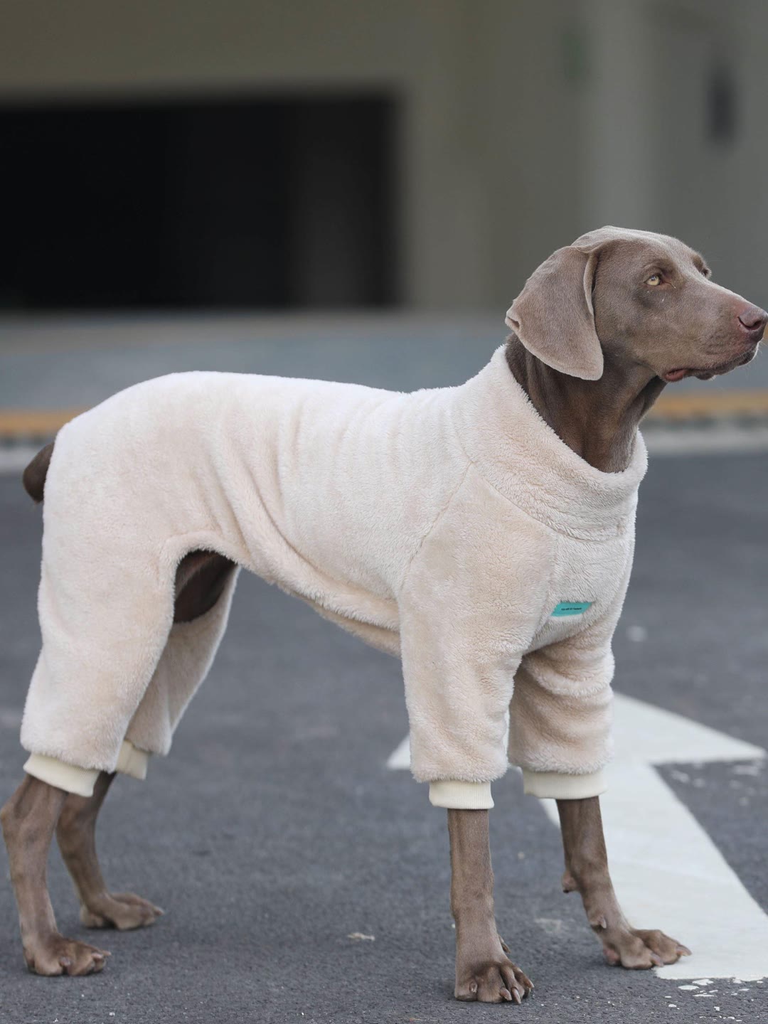STAYPAW Thermal Coral Fleece Four-Legged Dog Pajamas & Winter Bodysuit