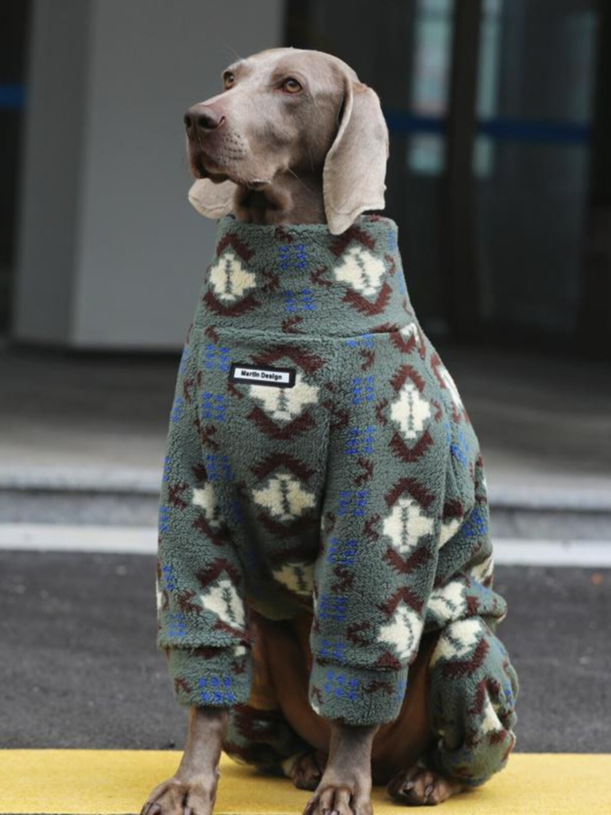 STAYPAW Double-Sided Fleece Dog Pajamas Warm Winter Bodysuit for Large Dogs