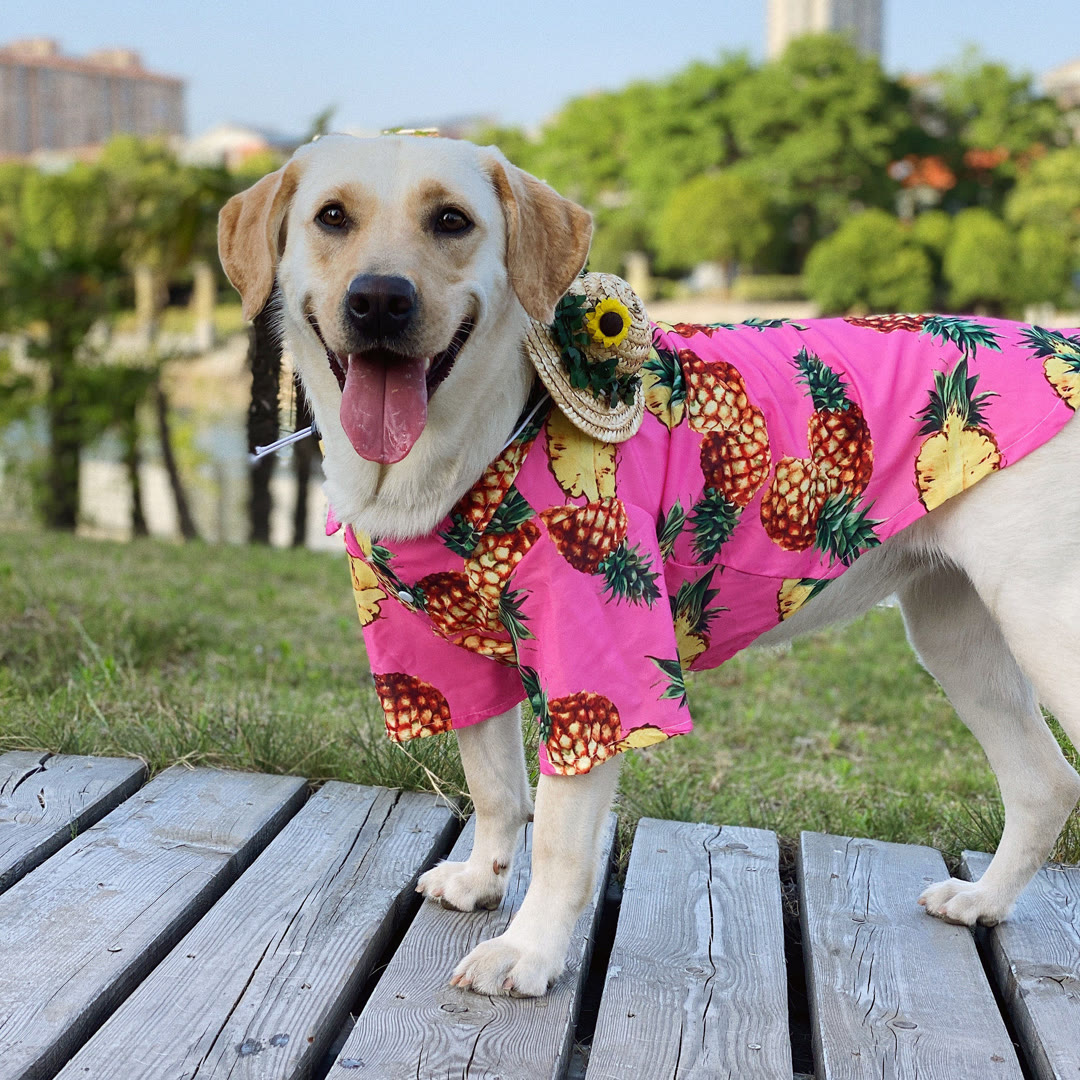 STAYPAW Summer Pineapple Breathable Sun Protection Dog Shirt for All Sizes