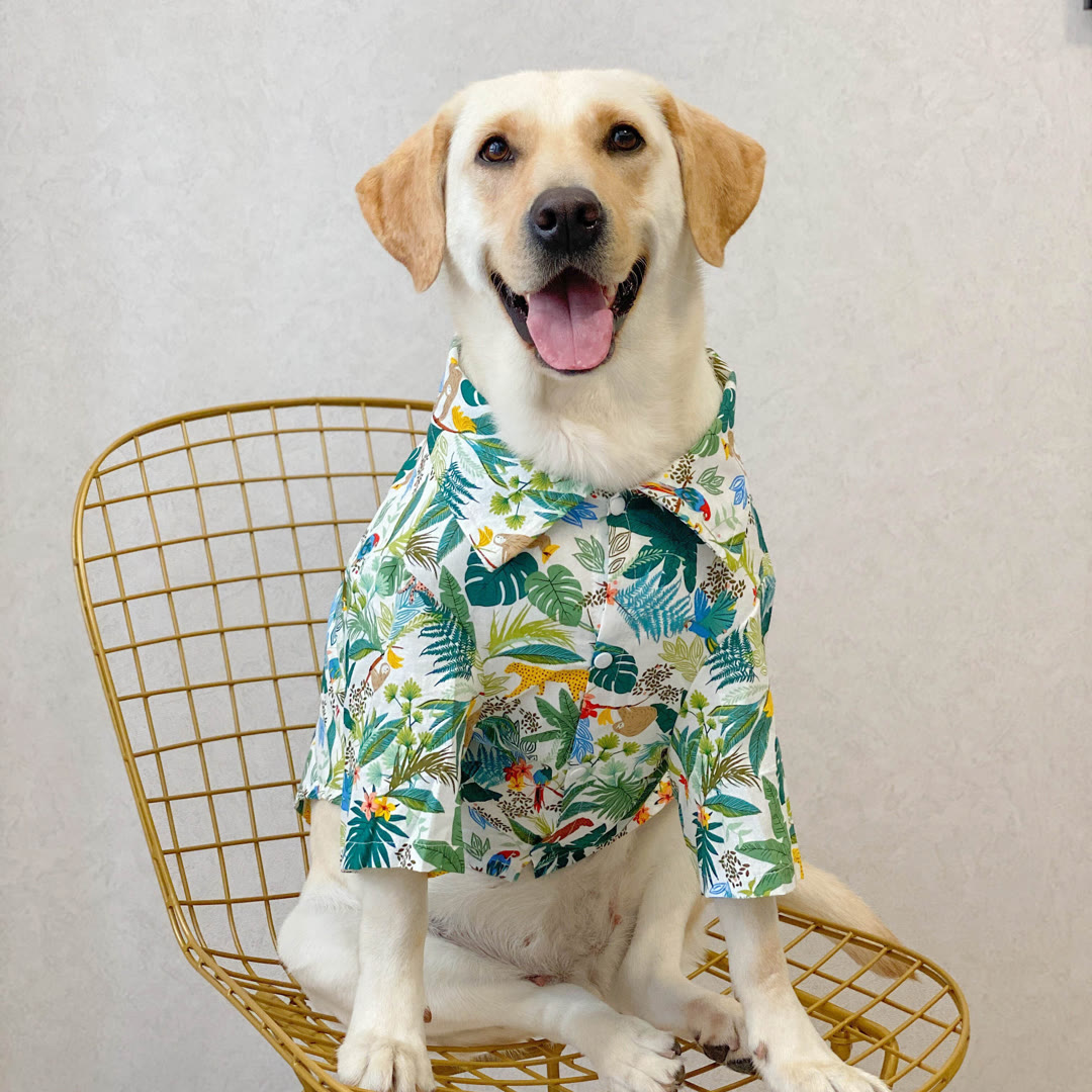 STAYPAW Breathable Tropical Dog Hawaiian Shirt Lightweight Sun & Rain Protection