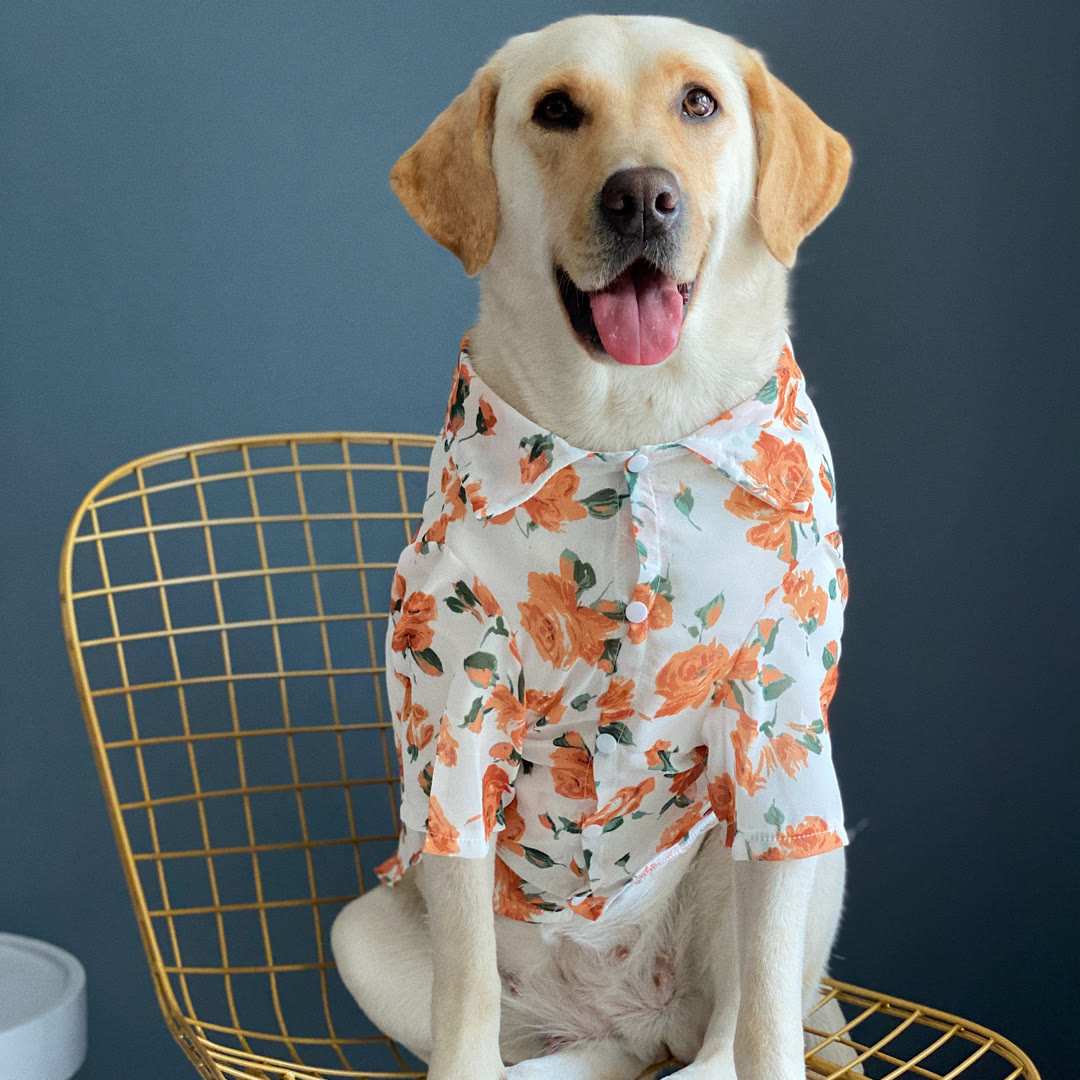 STAYPAW Lightweight Sun Protection Dog Shirt, Silky Summer Rose Print Floral Apparel
