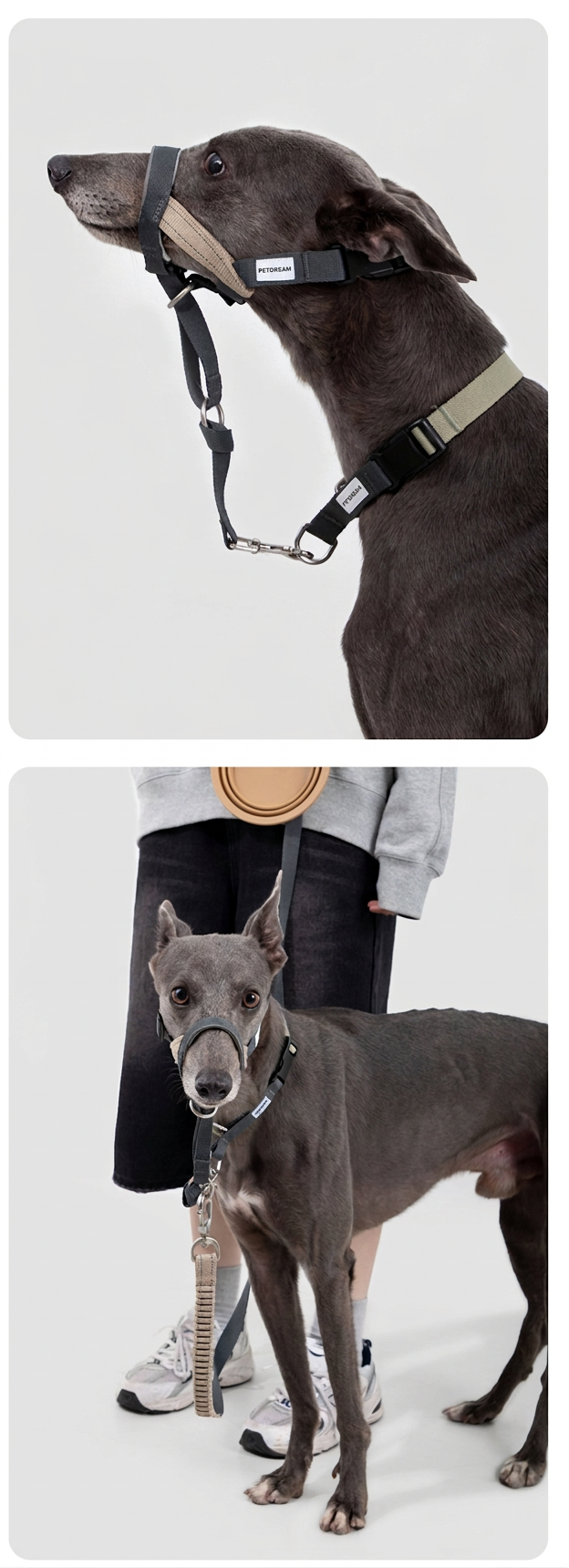 STAYPAW Adjustable Dog Muzzle Loop Anti-Scavenging Bark Control Training Halter - Detail 13
