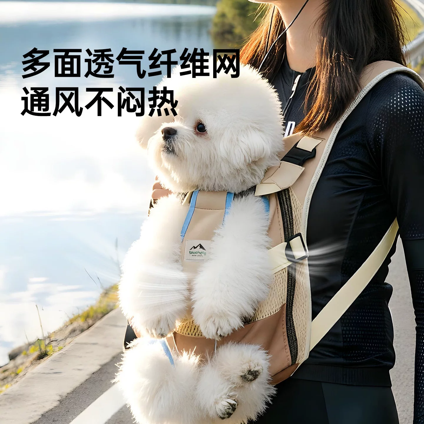 Photo 3